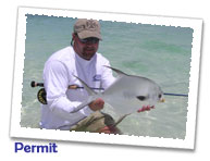 Permit